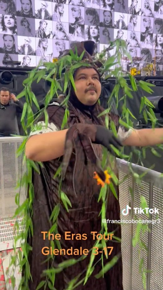 TikTok user @fjb.1989 shows a willow tree costume.