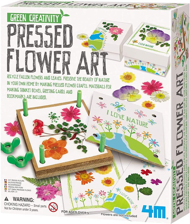 Green Creativity Pressed Flower Art Kit