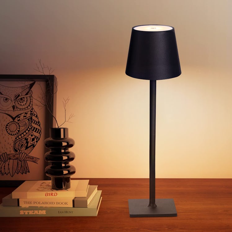 CHLORANTHUS Cordless Table Lamps