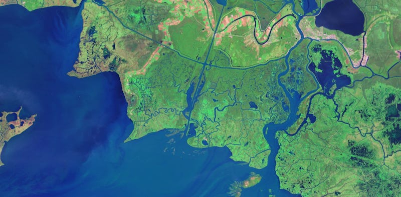 Over 8,000 satellites are orbiting Earth today, capturing images like this, of the Louisiana coast.