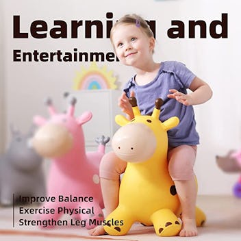 Babe Fairy Giraffe Bouncy Horse Hopper