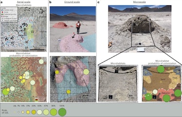 Mapa que muestra fotografías y mapas en color de diferentes niveles de observación para un entorno junto a un lago