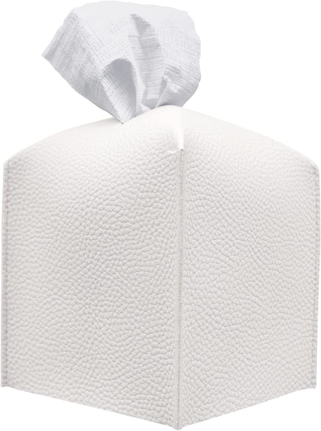 Carrotez Tissue Box Cover