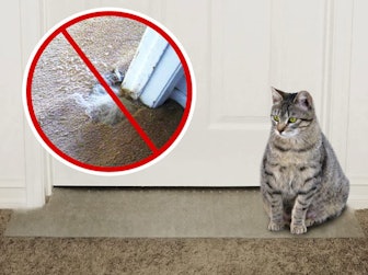 KittySmart Carpet Scratch Stopper