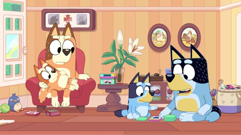 Trivia questions about 'Bluey'