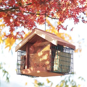 CEDAR ALPHA Squirrel Proof Bird Feeder