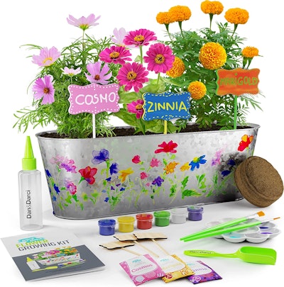 Dan & Darci Paint & Plant Flower Kit