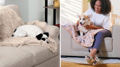 The 6 Best Blankets For Dogs That Shed