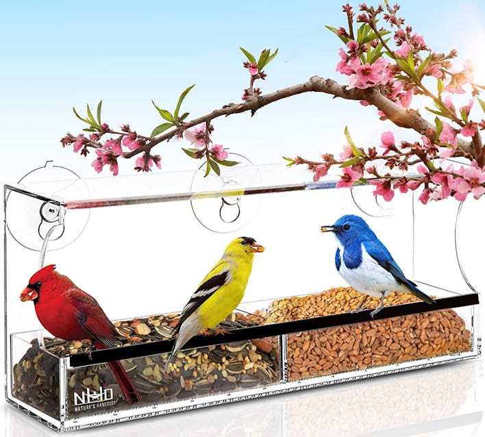 Nature's Hangout Clear Window Bird Feeder