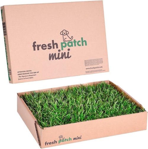 Fresh Patch Mini Real Grass Pee and Potty Training Pad
