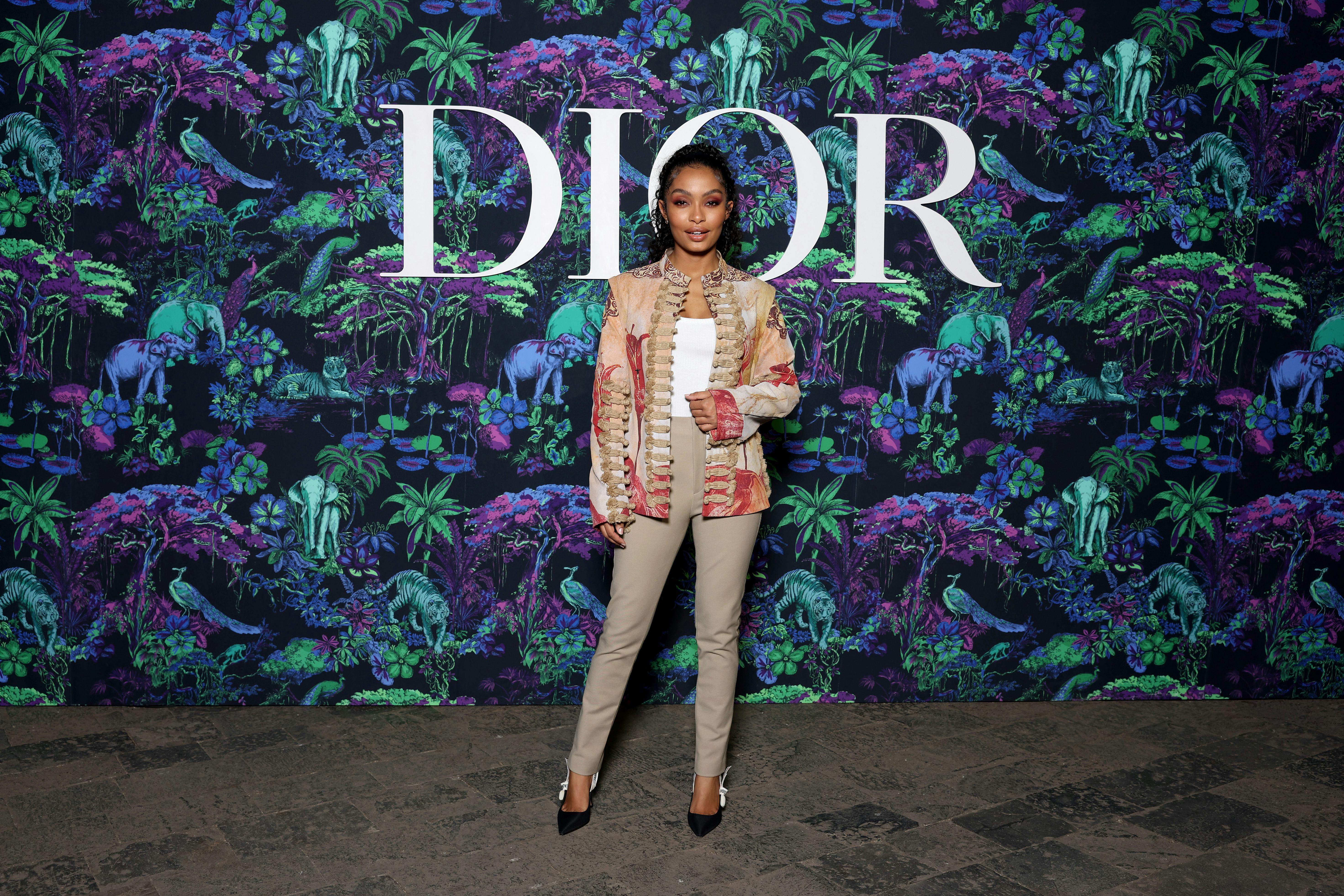 Celebrities at Dior Pre Fall 2023 Show