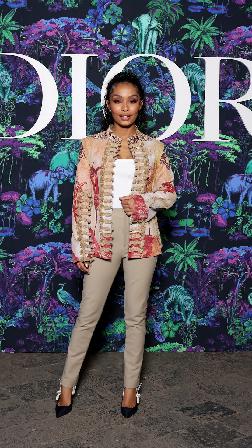 Celebrities at Dior Pre Fall 2023 Show