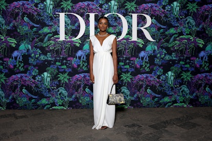Celebrities at Dior Pre Fall 2023 Show
