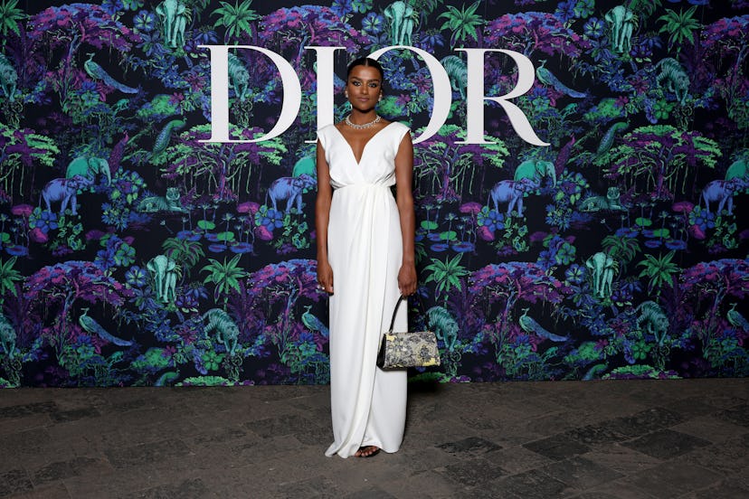 Celebrities at Dior Pre Fall 2023 Show