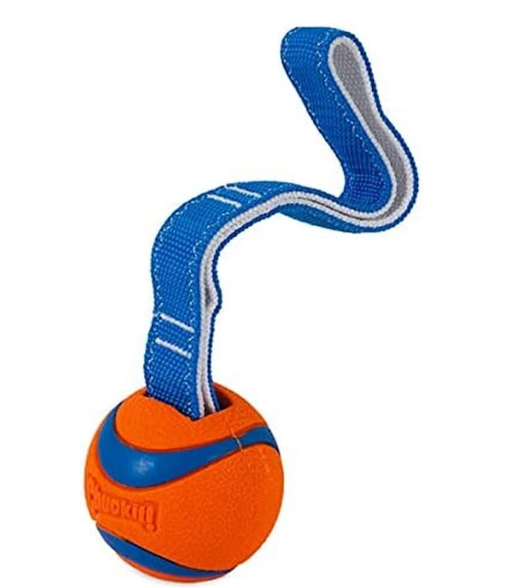 Chuckit! Dog Tug Toy