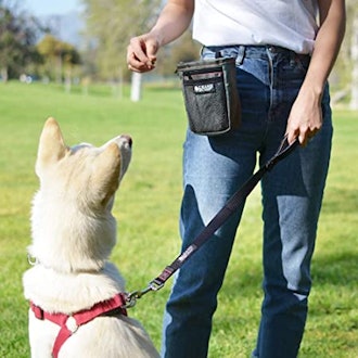Leashboss Dog Treat Pouch for Training