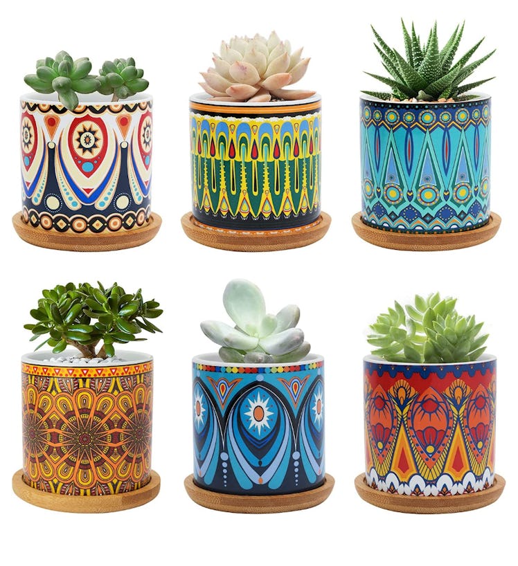 Warmplus Succulent Pots (6-Pack)