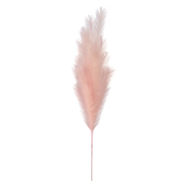 Light Pink Pampas Stem by Ashland