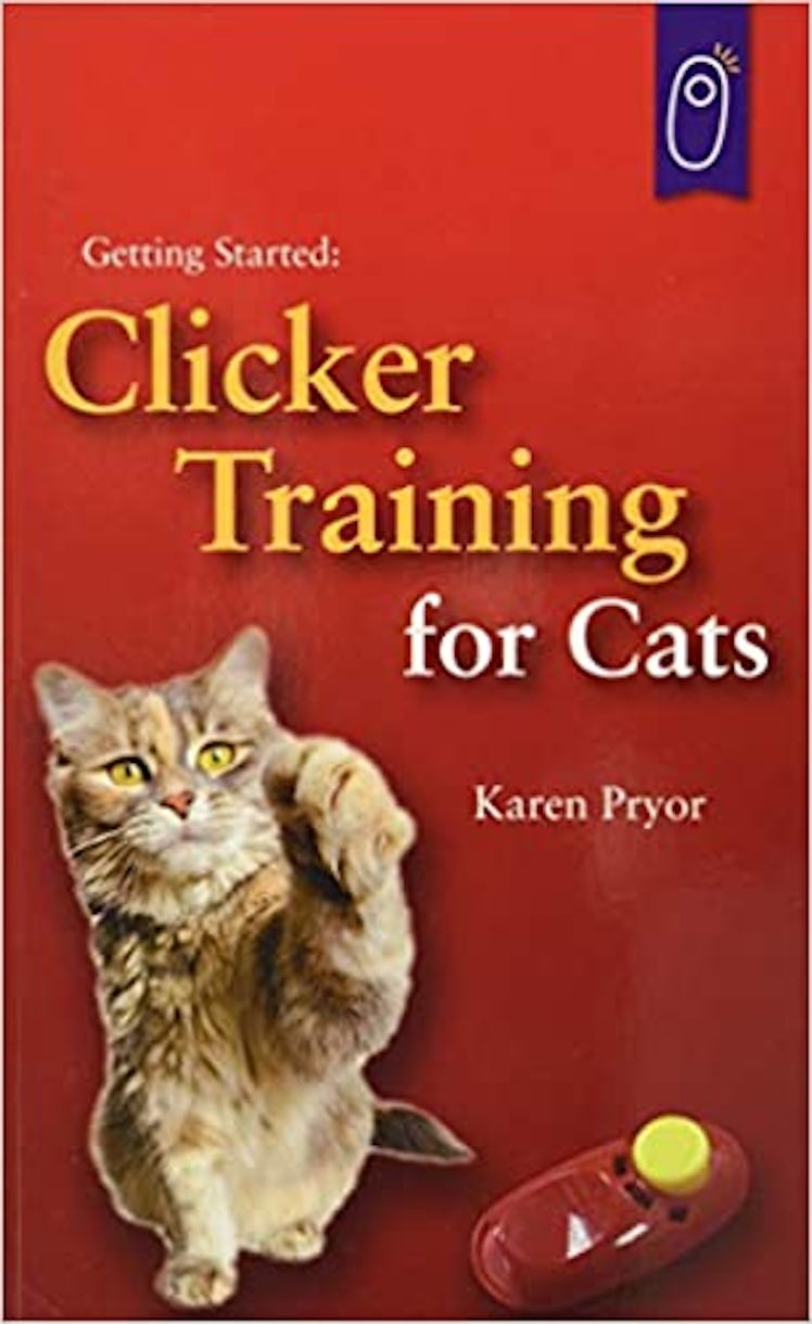 Clicker Training for Cats