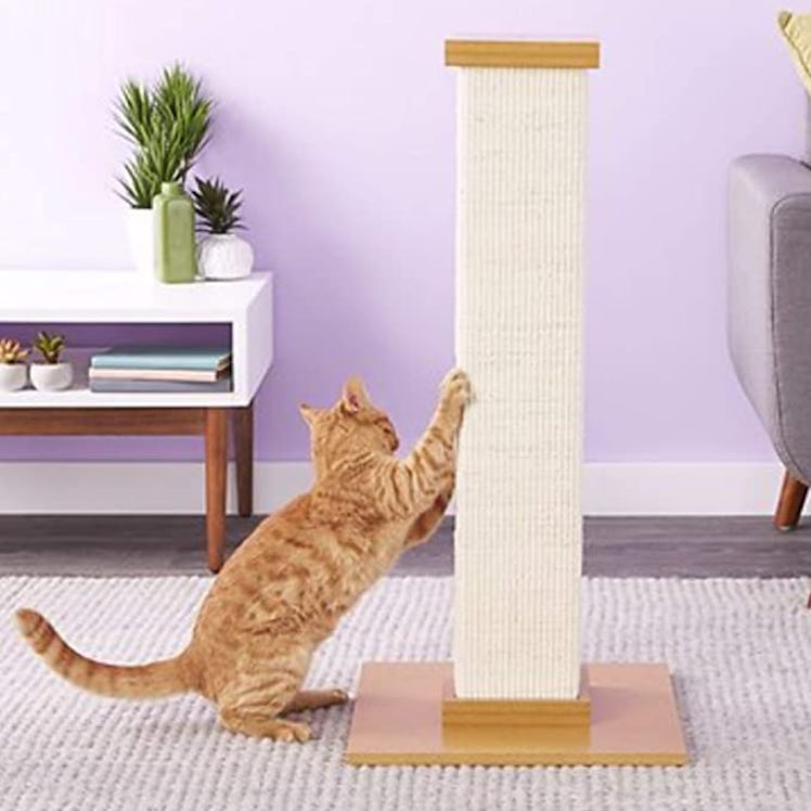 SmartCat Ultimate Scratching Post