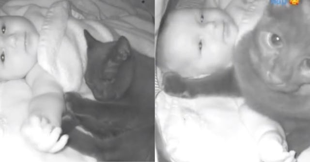 Experts chatted with Scary Mommy to weigh in on if a pet cat and baby snuggling together on TikTok i...
