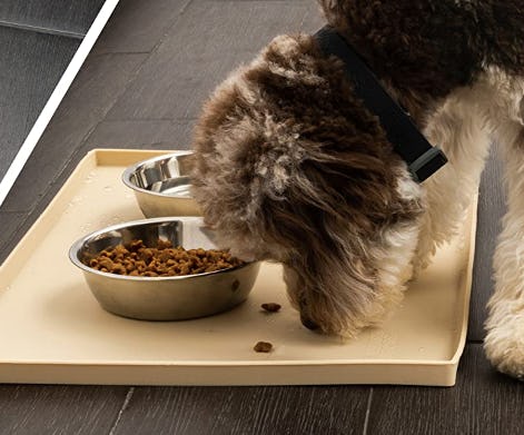 Leashboss Splash Mat