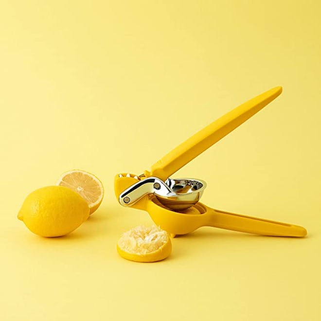 Chef’n FreshForce Citrus Juicer