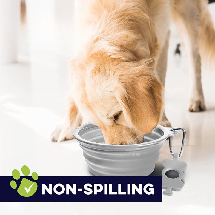 Bonza Medium Collapsible Dog Bowl