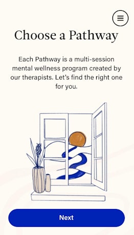 How to use the Real therapy app