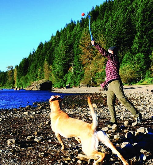 ChuckIt! Sport Ball Launcher