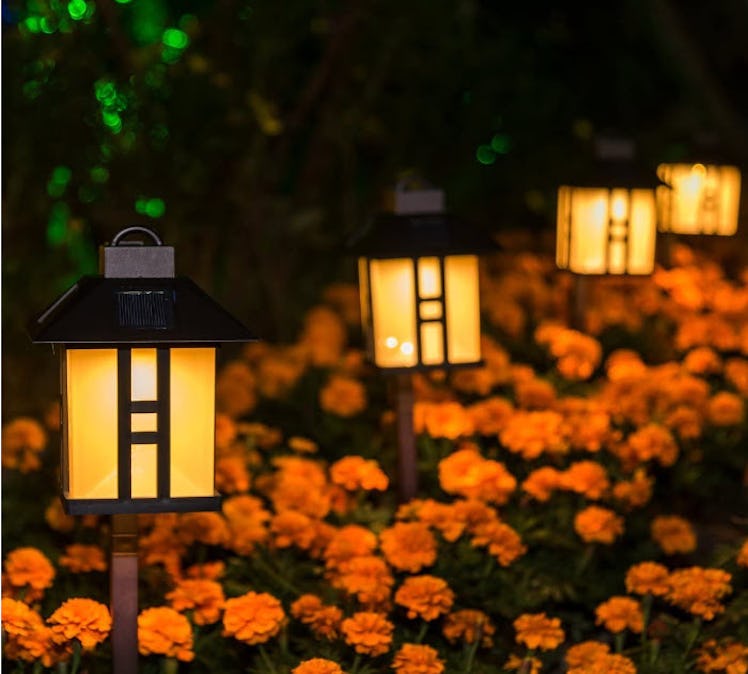 GIGALUMI Solar Pathway Lights