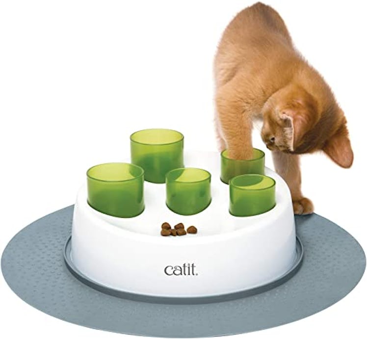 This cat toy is a fun and mind stimulating way to entertain your cat.