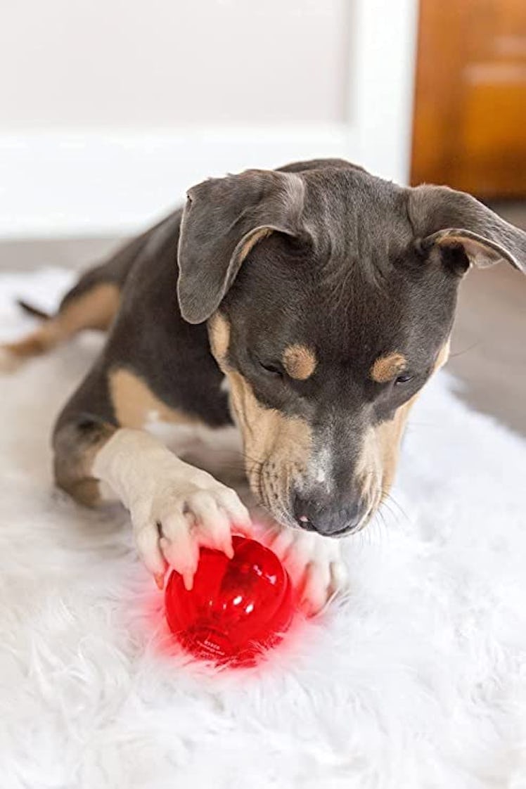 This durable chew ball entertains dogs with blinking lights and 18 different sounds