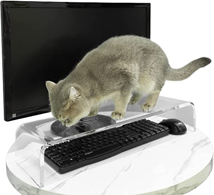 This clear plexiglass keyboard cover helps keep cats off the keys and is extra helpful for those who...