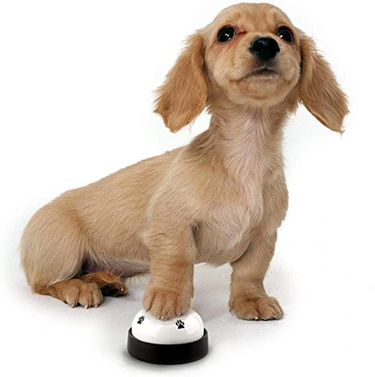 Help reduce potty accidents with this bell that makes it easy for dogs and cats to communicate when ...