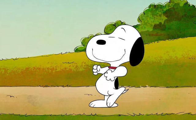 A dog is blowing up on Instagram for being the spitting image of everyone's favorite cartoon dog, Sn...