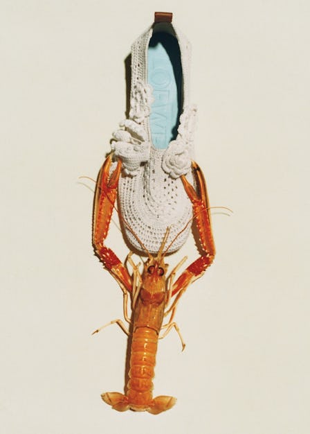 Lobster holding ballet flat shoe