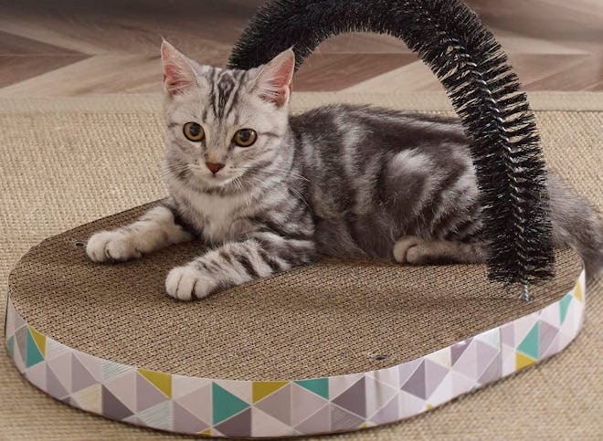 Petstages Cat Groomer and Scratch Pad
