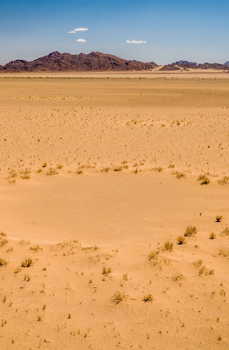 fairy circles