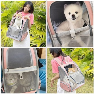 Texsens Backpack Pet Carrier