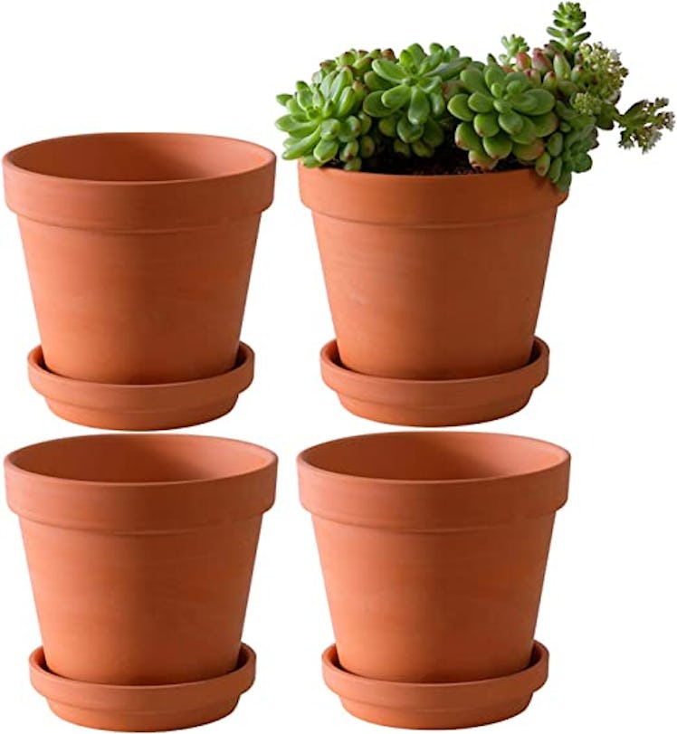 Keep your plants contained with this pack of terra cotta pots.