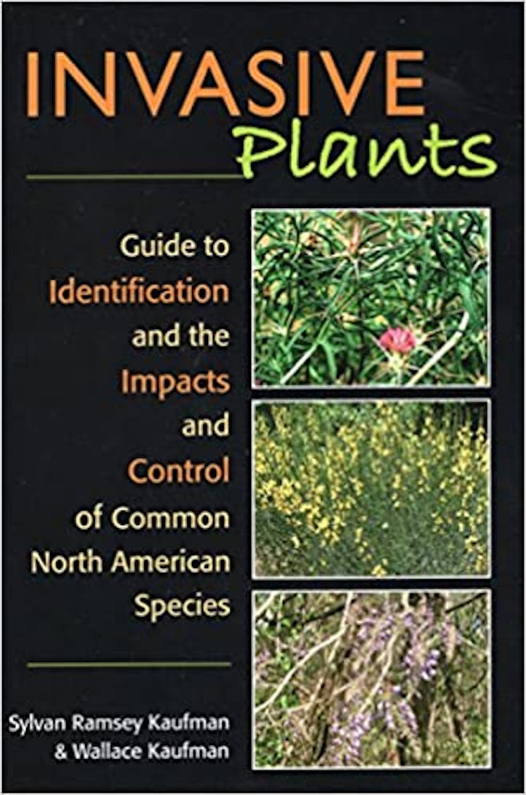 Invasive Plants: Guide to Identification And The Impacts And Control Of Common North American Specie...