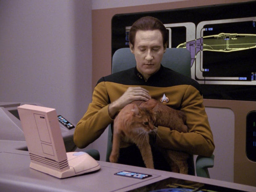 Data and his cat, Spot