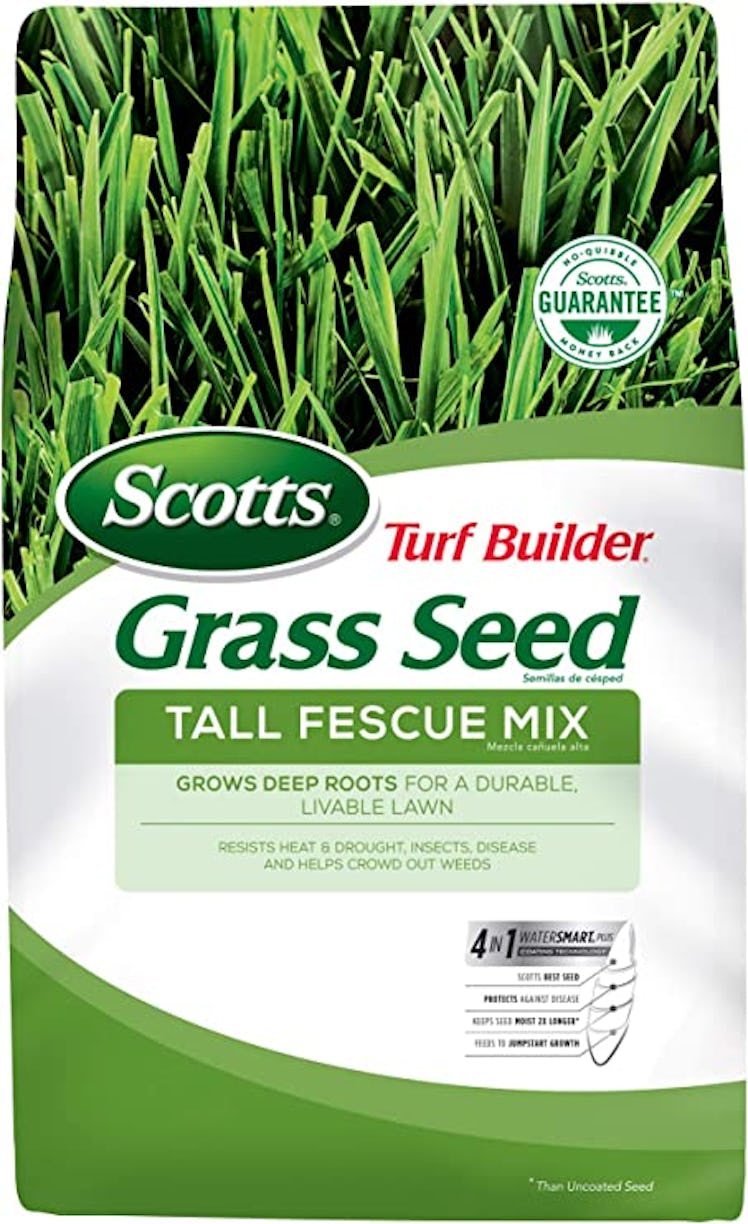 This grass seed can help create a better yard by filling in bare spots and adding green to shady are...