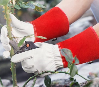 NoCry Long Leather Gardening Gloves