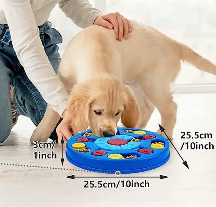 Dog Puzzle Toys