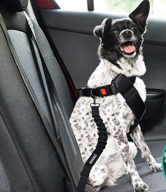 COOYOO Dog Seat Belt (3-Piece)