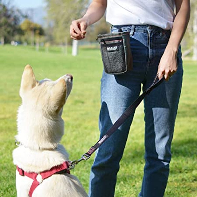 Leashboss Dog Treat Pouch