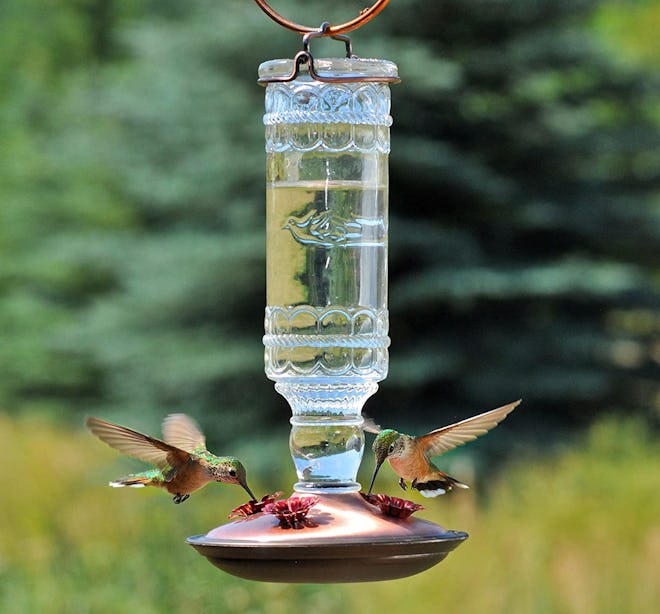 Perky-Pet Antique Glass Bottle Hummingbird Feeder