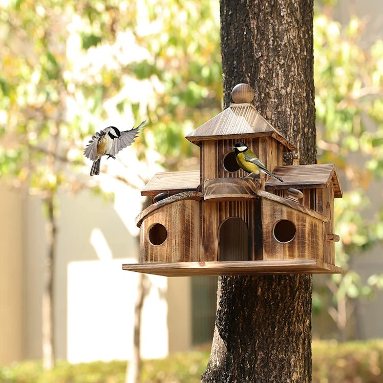 XDYGHH Bird House 